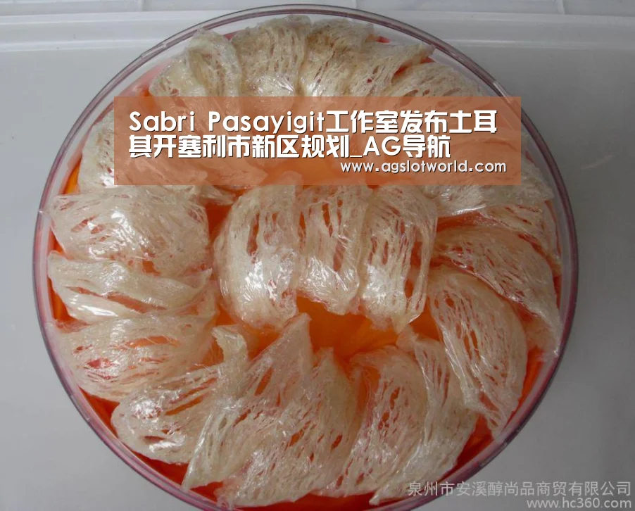 Sabri Pasayigit工作室发布土耳其开塞利市新区规划_AG导航(图3) AG娱乐