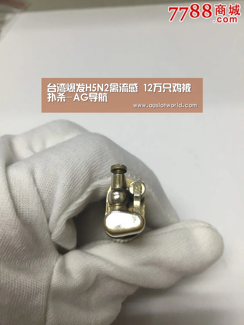 台湾爆发H5N2禽流感 12万只鸡被扑杀-AG导航(图1) AG娱乐