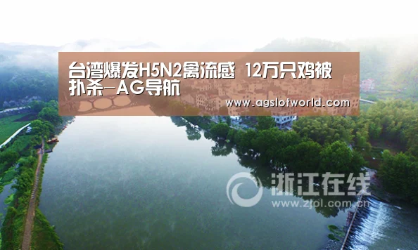 台湾爆发H5N2禽流感 12万只鸡被扑杀-AG导航(图2) AG专区